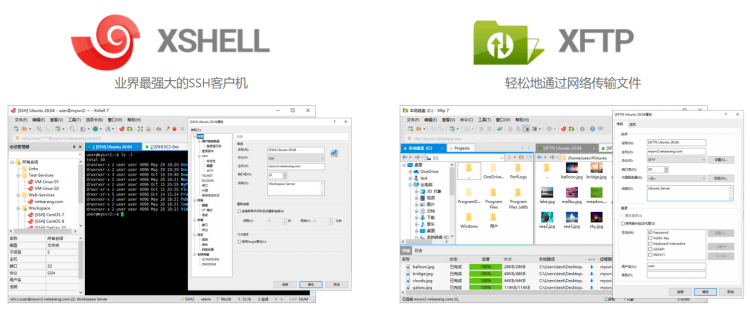 Xshell正版官方免费版下载地址（新免费版不限制站点数量）插图